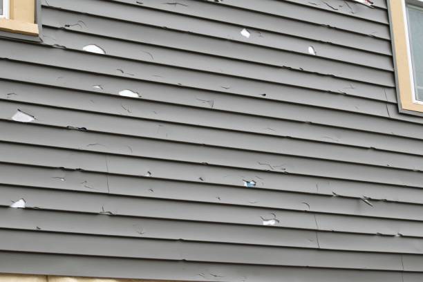Best Same-Day Junk Removal Services  in Lukachukai, AZ